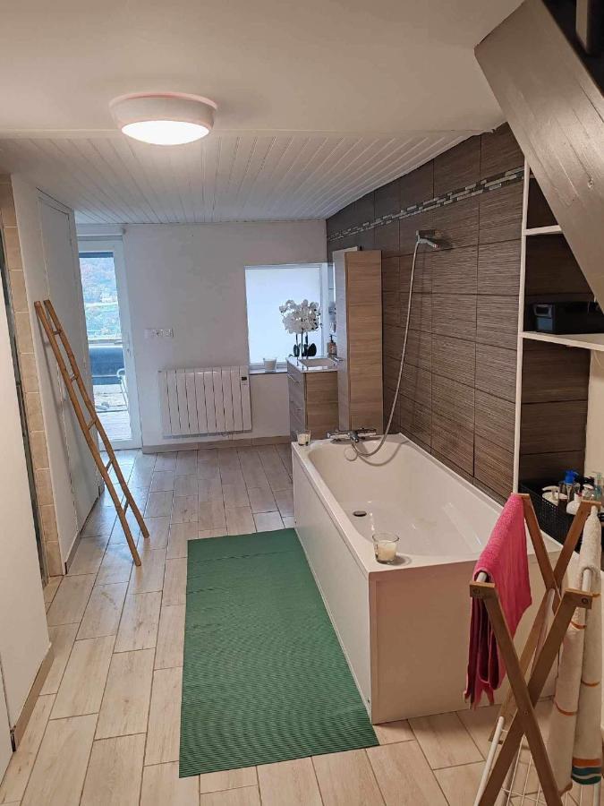 Chez Gwen Et Marie Villa Bogny-sur-Meuse Bagian luar foto