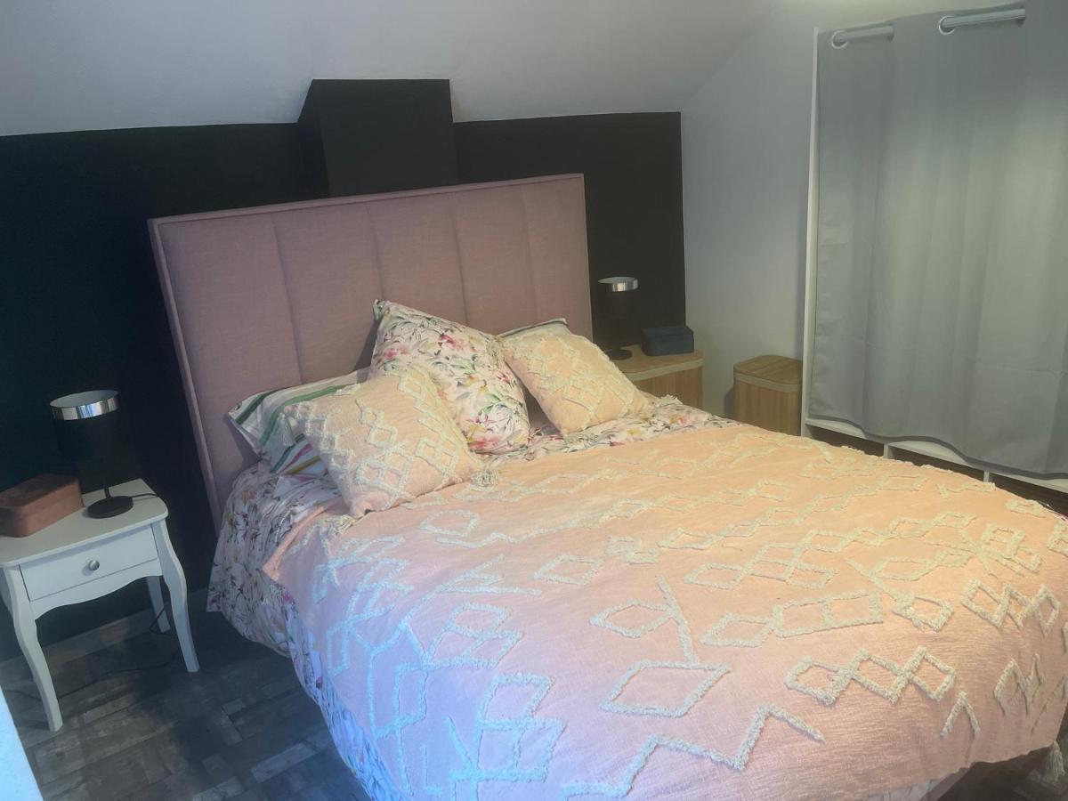 Chez Gwen Et Marie Villa Bogny-sur-Meuse Bagian luar foto